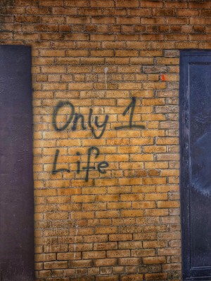 Only 1 Life